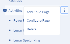 Figure 2: The Options button next to a page or page set allows you to add a child page, edit the existing page(s), or delete the page(s).
