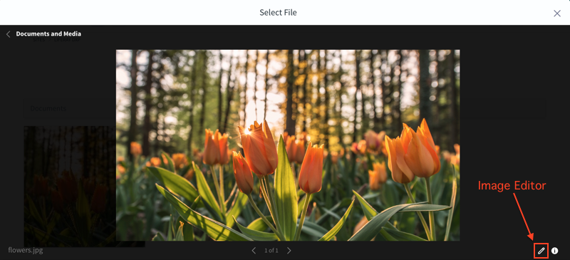 Figure 2: You can use the Image Editor to customize your Blogs photos.