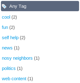Figure 6.9: Asset tag facets let you see how many assets contain the terms for which you searched and contain certain tags. Click on a specific tag to narrow down the list of search results to those to which the tag has been applied.